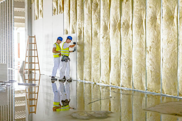 Best Commercial Insulation in Pocono Ranch Lands, PA